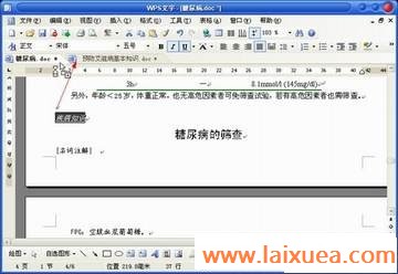 妙用WPS 轻松实现跨文档应用格式刷