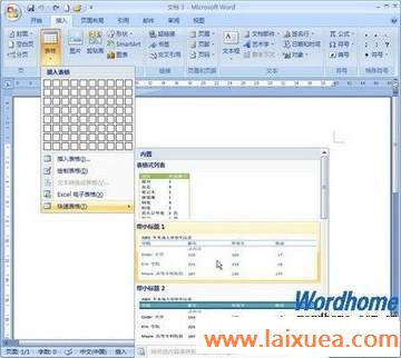 Word2007ʹñģ