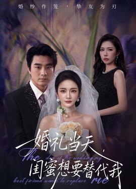 婚礼当天，闺蜜想要替代我——美国禁忌11