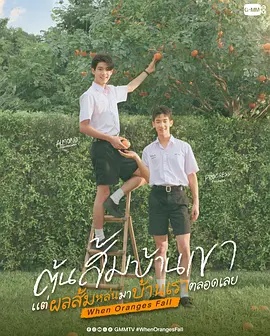 当橘子掉落时——好男人在线观看免费观看
