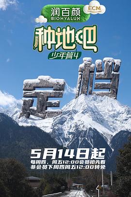 种地吧4——冰雪大世界糖葫芦摊位100万起拍